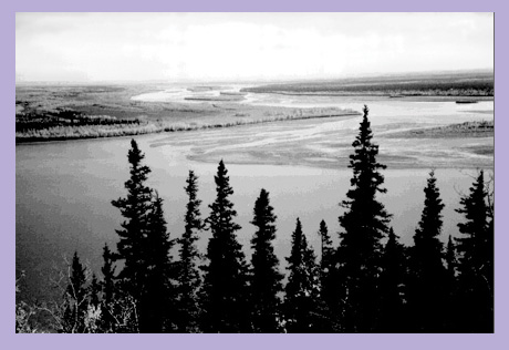 another view of tanana river