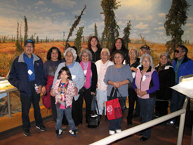 Elders from Bettles, Evansville, Allakaket and Alatna at the Morris Thompson Cultural and Visitors Center, November 12, 2009.
