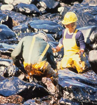 Workers cleaning oil from rocks