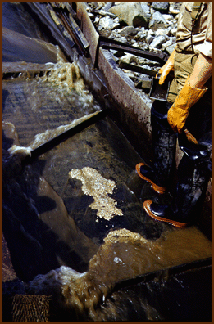 Image of gold in a sluice box