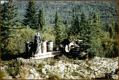 Image of 50 gallon drums in a forest