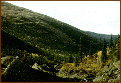 Photo of a valley