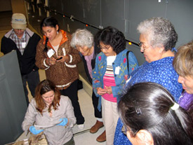 Looking at material at the University of Alaska Museum of the North, November 5, 2008.