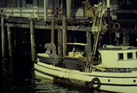 boat unloading halibut
