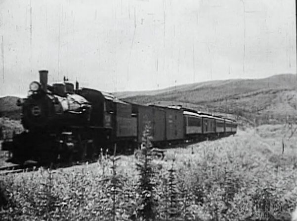 Alaska Railroad at McKinley Park