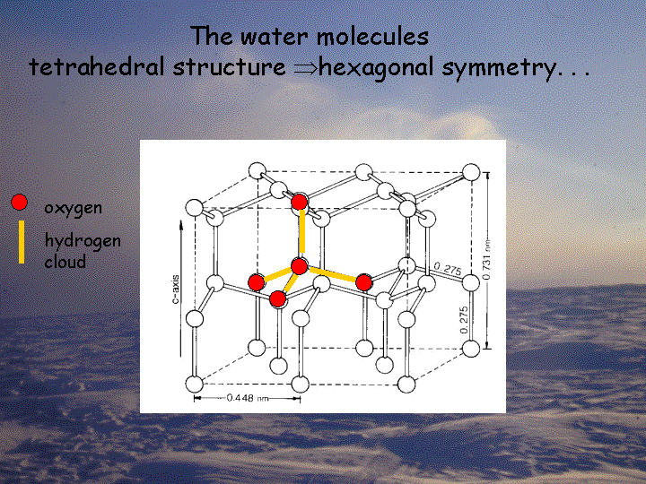 Water Molecules
