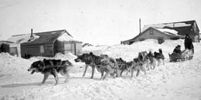 Dog Team in Nome