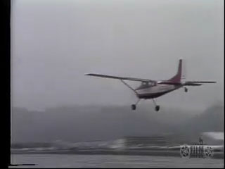 Cessna 185 