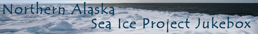 Northern Alaska Sea Ice Project Jukebox