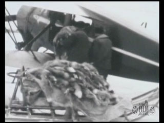 Loading fox furs on a Waco biplane 