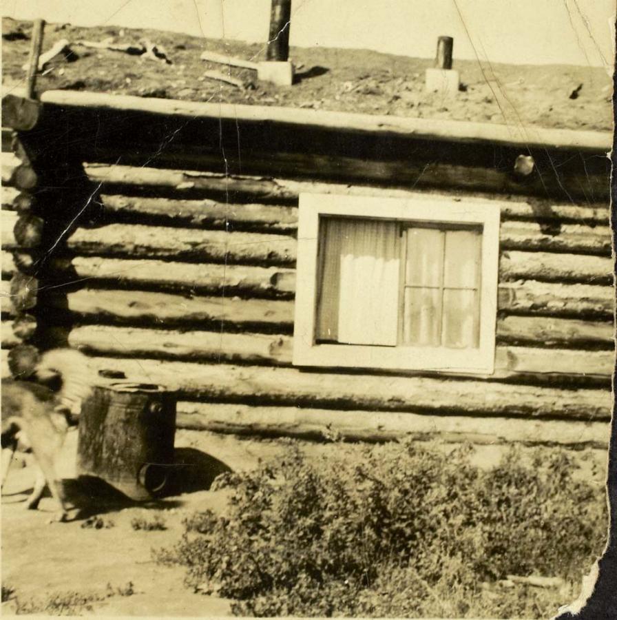 Log House at Healy Lake