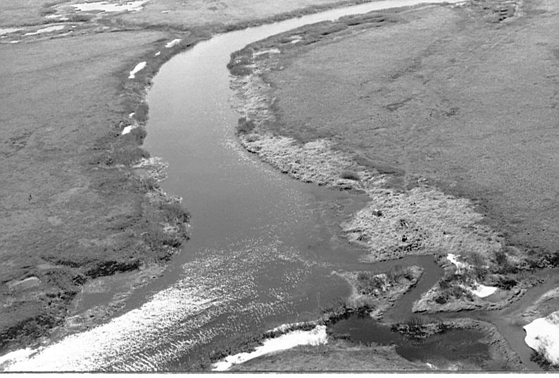 Elaayiq River and Pugcenar Stream