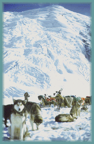 Dog Team on Mount Tatum
