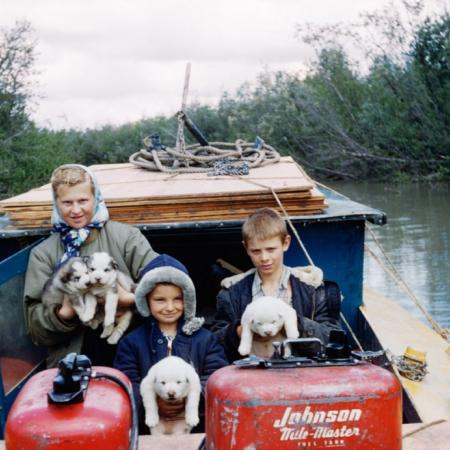 A Boat with Puppies