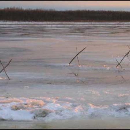 Tripods in River Ice