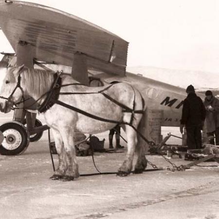 Horse and Airplane