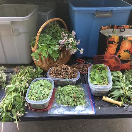 Organizing the Harvest