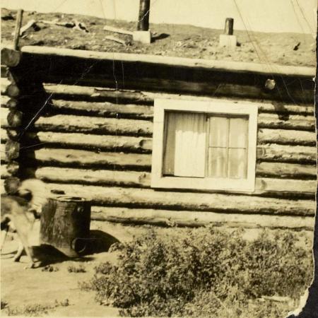 Log House at Healy Lake