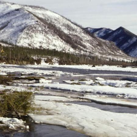 Ice Flowing Down River