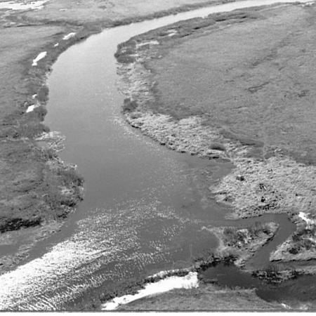 Elaayiq River and Pugcenar Stream