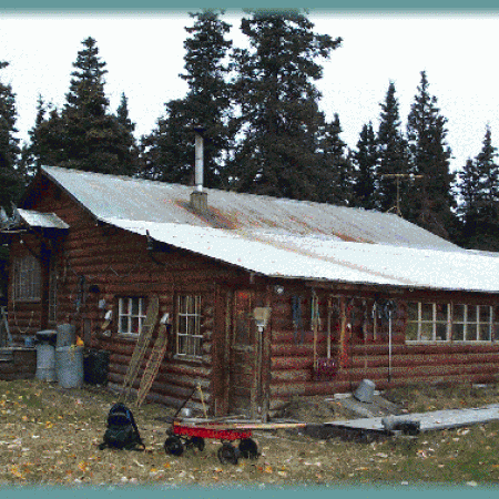 Mercer's Cabin