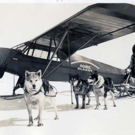 Dog Team and Airplane