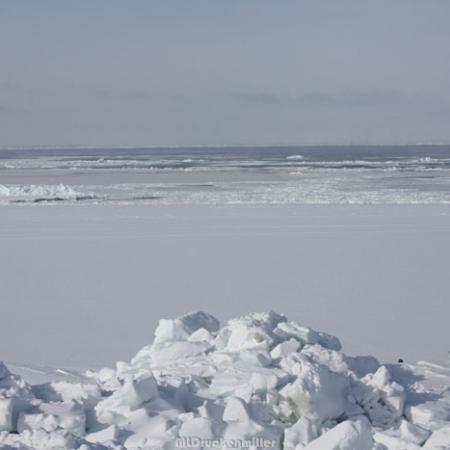 View of Shorefast and Drifting Ice