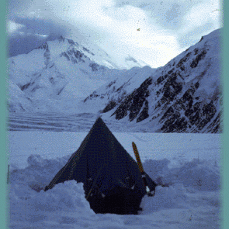 Musher's Tent