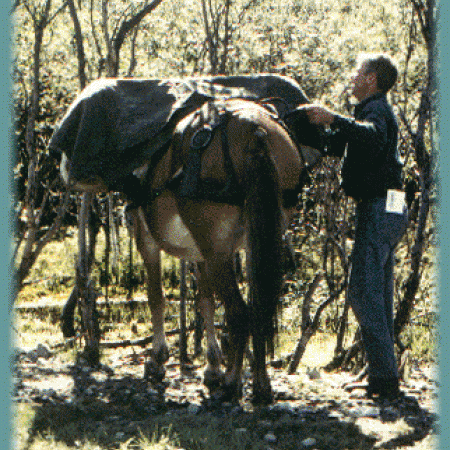 Packing A Mule