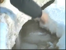 Thick ice collapse in Mo's Slough