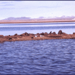 Lagoon on St. Lawrence Island